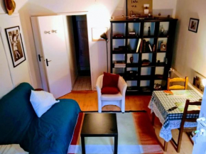 petit studio avec canapé-lit 1 pièce (pas de chambre)